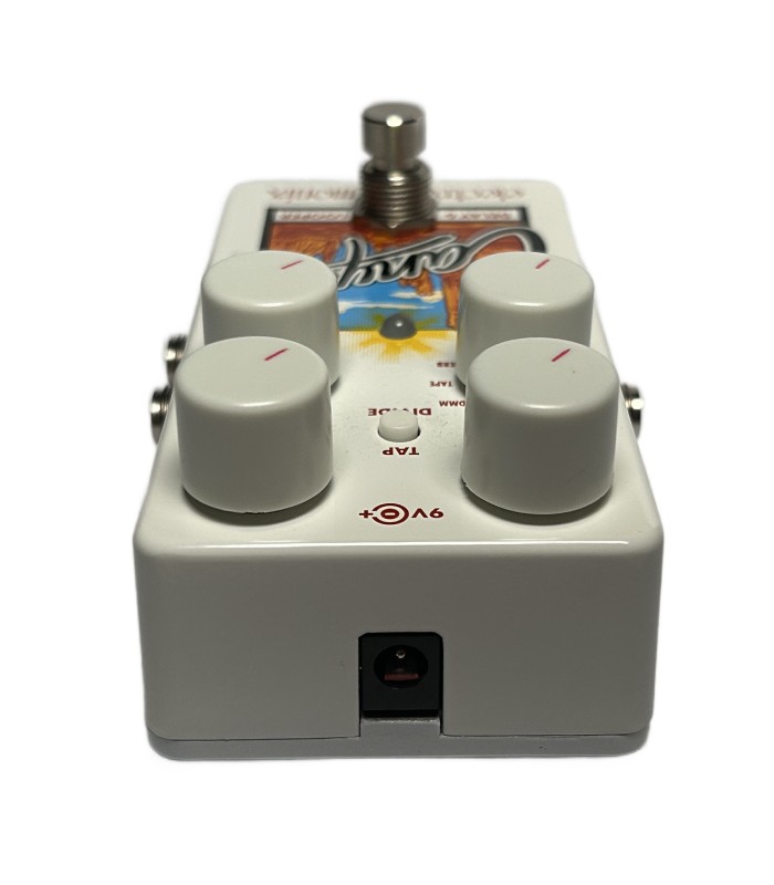 Top view of the Electro-Harmonix Canyon pedal showing control knobs, delay settings, and power supply input