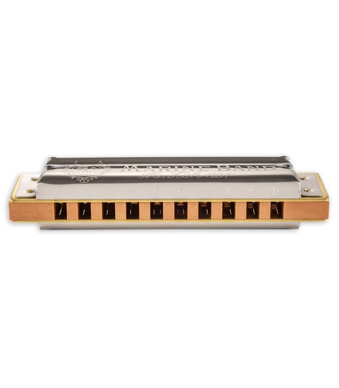 Detalhe dos 10 orifícios da harmónica Hohner modelo Marine Band em Mi