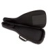 20mm padded interior of the bag Fender model FE620