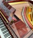 Detalhe da estante e mecânica do Piano de Cauda John Broadwood & Sons Rosewood (Pau-santo) com origem no Reino Unido