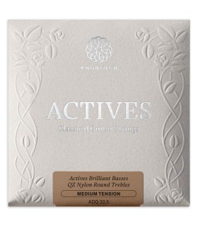 String Set Knobloch model ADQ33.5 Actives QZ Double Silver in Nylon and of medium tension for classical guitar