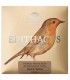 String set Knobloch model EDQ33.5 Erithacus QZ Double Silver in nylon and with medium tension for classical guitar