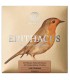 String set Knobloch model EDN33.0 Erithacus Double Silver SN in nylon with low tension for classical guitar