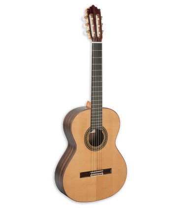 Classical guitar Paco Castillo model 204 in solid cedar and back and sides in grenadilla