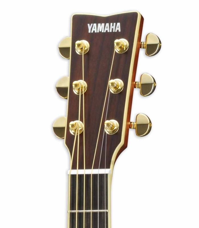 Cabeça da guitarra eletroacústica Yamaha modelo LL 16D ARE com carrilhões dourados