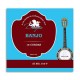 Dragão Banjo Individual String 888 .010 1st E