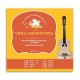 String Set 013 Dragão 10 Strings Viola Amarantina