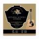 Dragão Acoustic Guitar String Set 023 Superior Steel Silk Button