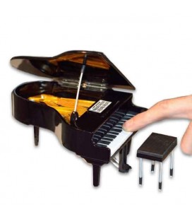 Photo of miniature grand piano Collection