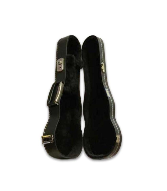 Photo of the Artimúsica 80001