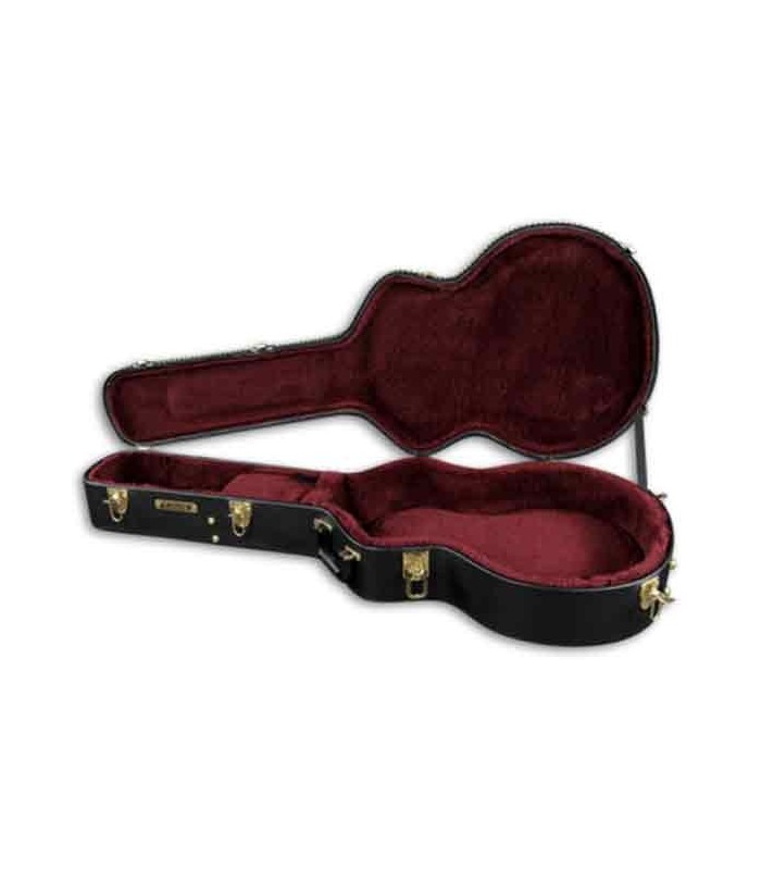 Foto do estojo Gretsch G6241FT aberto 