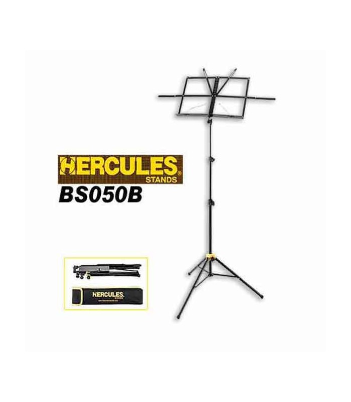 Picture with mounted stand folded and bag