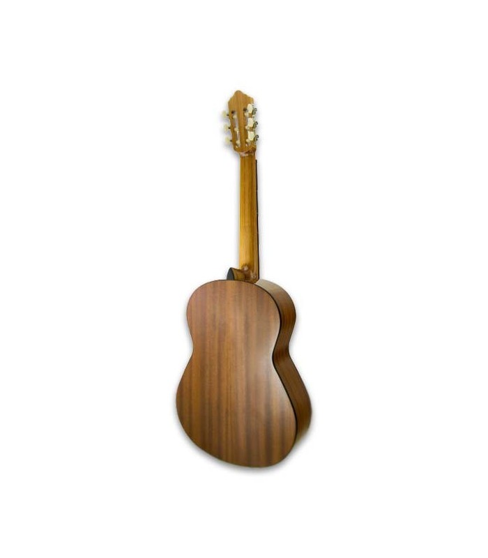 Fondo de la guitarra APC 1S 