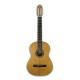 Foto frontal de la guitarra APC 1C