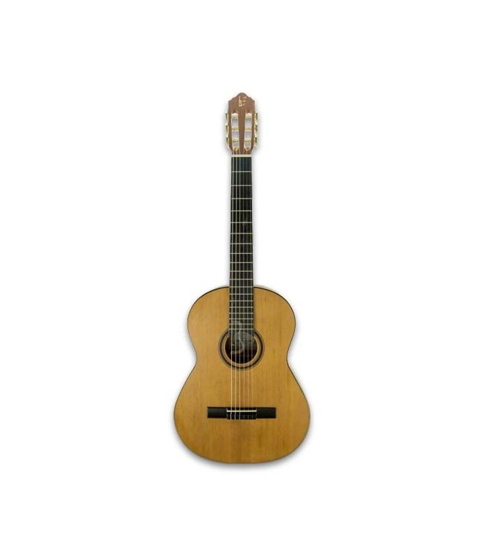 Foto frontal da guitarra APC 1C