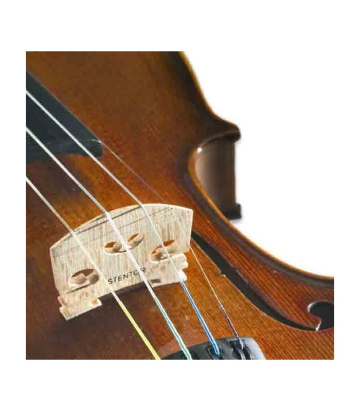 Corpo e cavalete do violino Stentor Student II