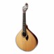 Foto da guitarra portuguesa APC 307LS