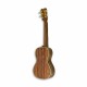 Fundo do ukulele concerto APC CC