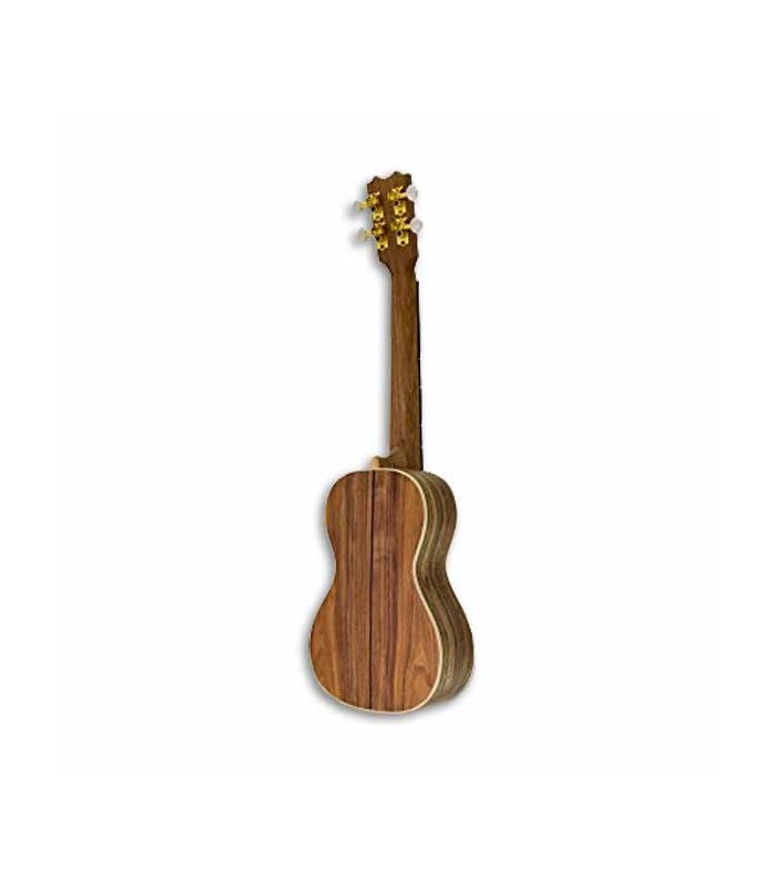 Fondo del ukulele concerto APC CC