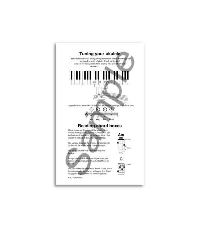 Music Sales The Little Black Book of Great Songs for Ukulele AM1006434