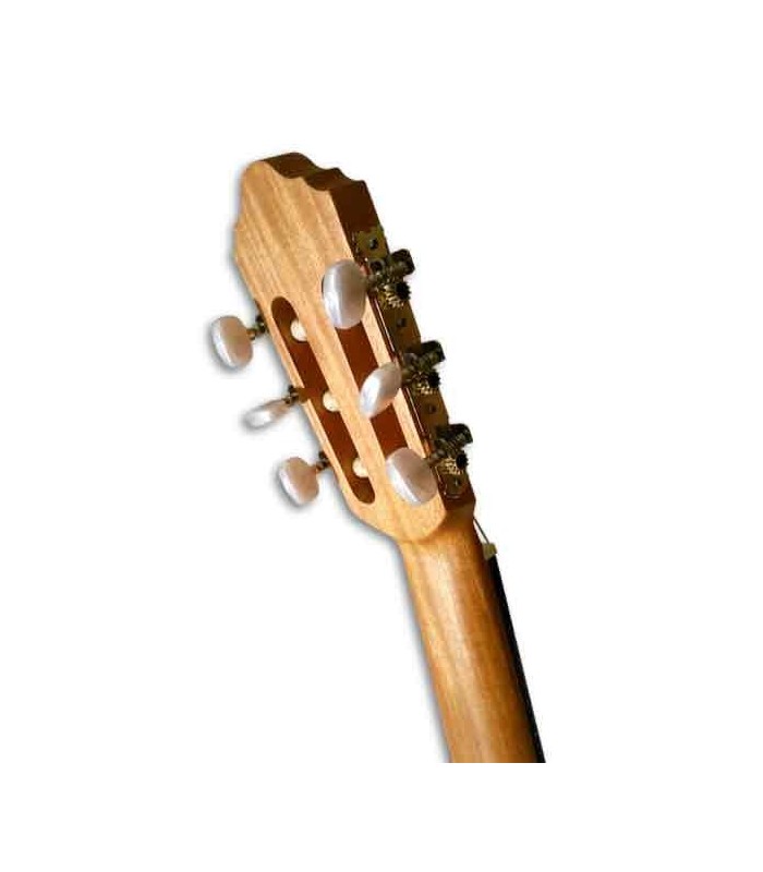 Clavijeros de la guitarra APC GC200OP