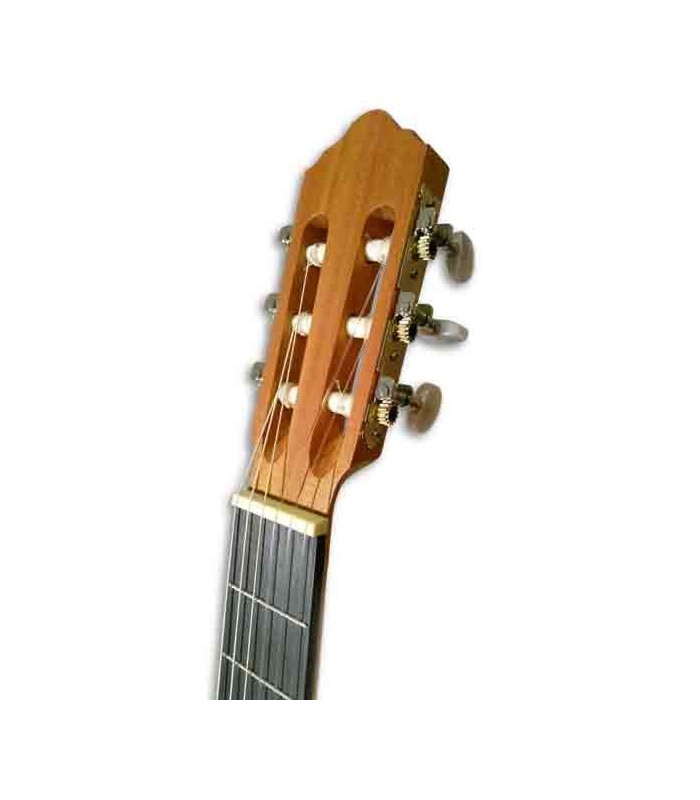 Cabeza de la guitarra APC GC200OP