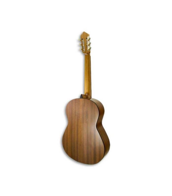 Fundo da guitarra APC 1S 