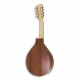 Back of mandolin APC MDL305