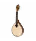 Mandolina APC MDL305 Simple de Clavijero