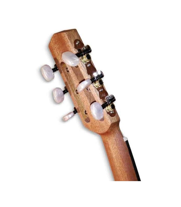 Carrilhões da guitarra APC JMD200WLN