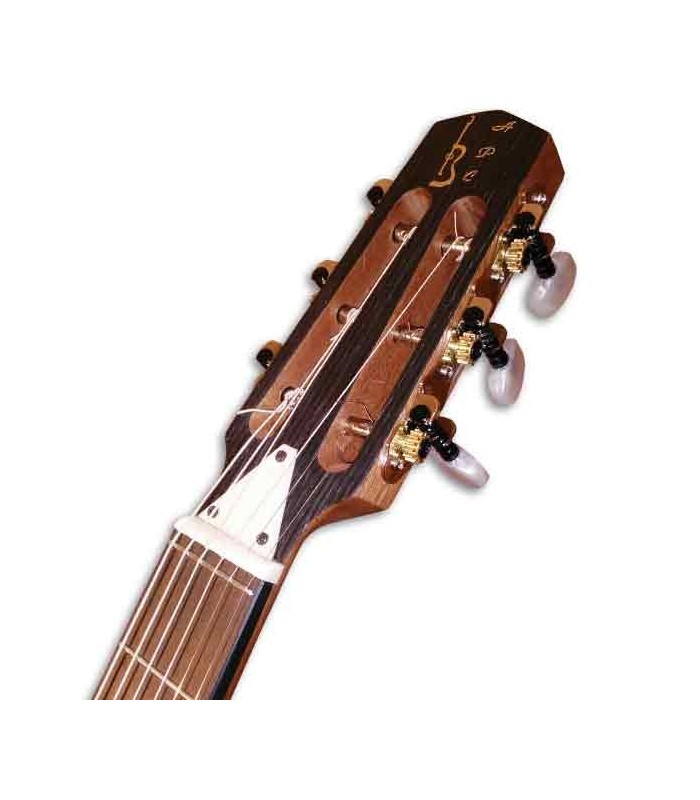 Cabeza de la guitarra APC JMD200WLN