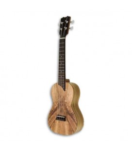 Foto del ukulele concerto APC CMX