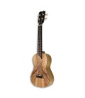 Ukulele Concerto APC CMX Boca Lateral