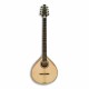 APC Irish Bouzouki IRB305
