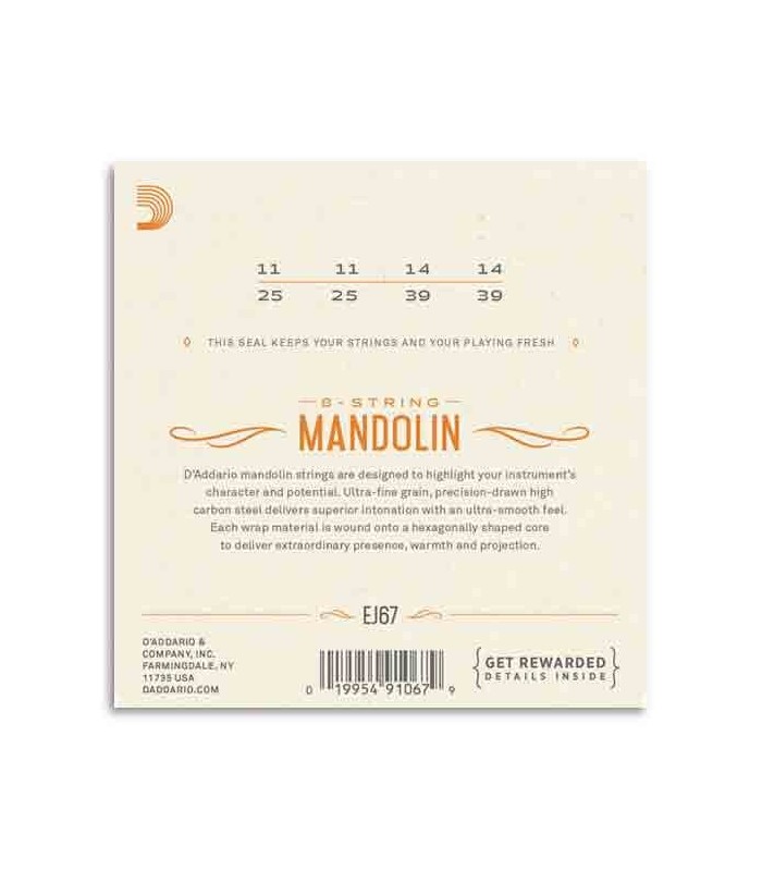 Back of package for strings D'Addario EJ67 for mandolin