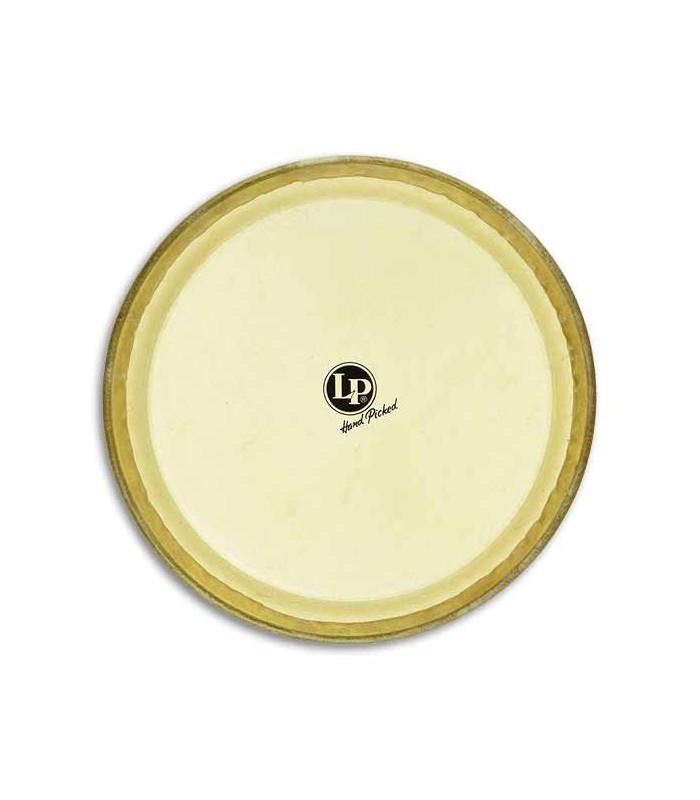LP Conga Head LP274B 11 3/4