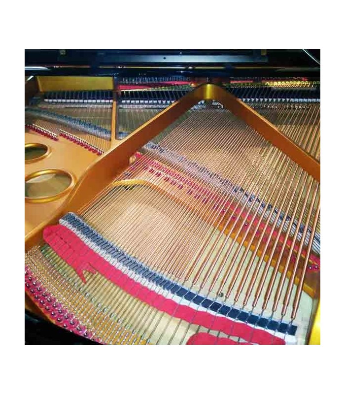 O design e qualidade do tampo harmónico do Pearl River GP150 PE produz uma tonalidade e ressonância de qualidade