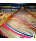 O design e qualidade do tampo harmónico do Pearl River GP150 PE produz uma tonalidade e ressonância de qualidade