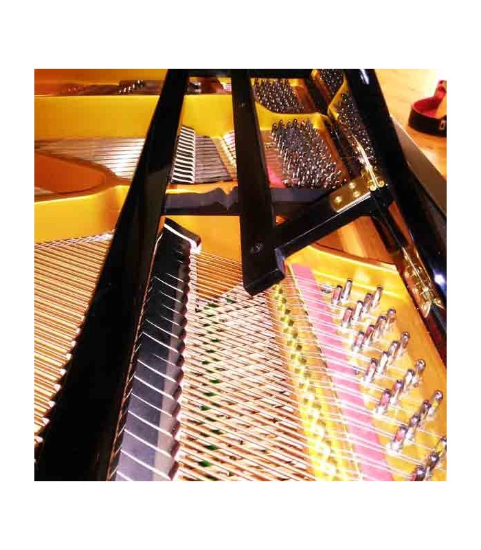 Pormenor das cravelhas em aço niquelado do Pearl River GP150 PE Classic Baby Grand