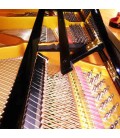 Pormenor das cravelhas em aço niquelado do Pearl River GP150 PE Classic Baby Grand
