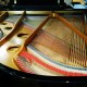 Grand Piano Pearl River GP170 PE 3/4 photo