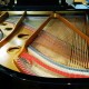 O piano de cauda Pearl River GP170 PE tem cordas Roslau alemãs