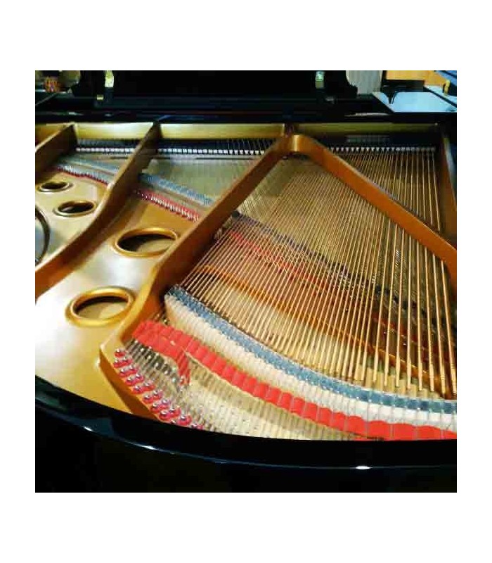 Grand Piano Pearl River GP170 PE 3/4 photo