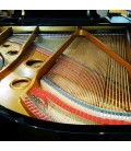 O piano de cauda Pearl River GP170 PE tem cordas Roslau alemãs
