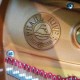 Logotipo no interior do piano de cauda Pearl River GP170 PE