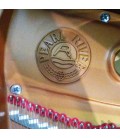Logotipo no interior do piano de cauda Pearl River GP170 PE