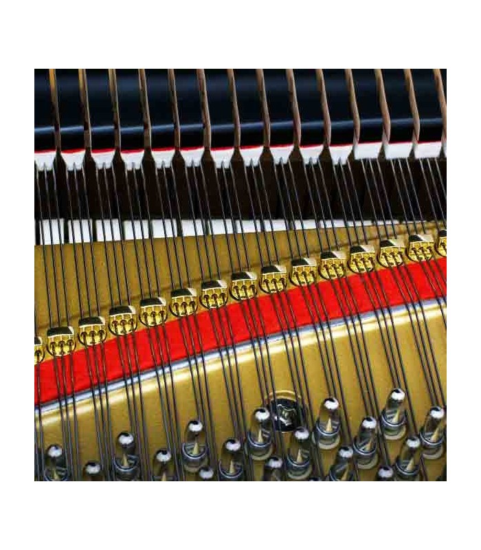 Piano de Cola Kawai GL 30 166cm Negro Pulido 3 Pedales