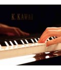 Piano de Cauda Kawai GL 20 156cm Preto Polido 3 Pedais