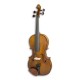 Photo of viola Stentor Student I 12" 