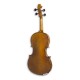 Back of viola Stentor Student I 12"